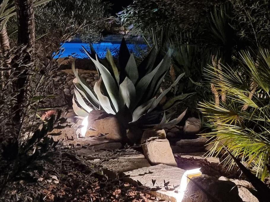 Une Oasis Au Pays De Cezanne Aix-en-Provence Zewnętrze zdjęcie